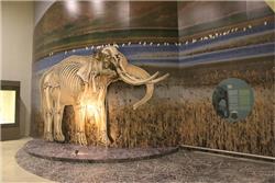 Gaziantep_Arkeoloji_7-mamut canlandırması.jpg